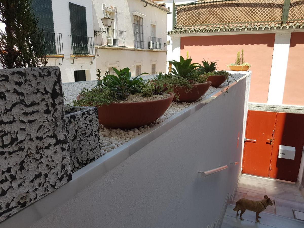 Lolita'S House Alhambra Lejlighed Sevilla Eksteriør billede